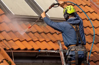 Démoussage et hydrofuge de toiture à Mondion